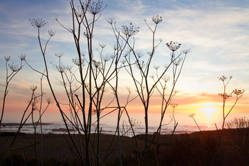 Obraz premium sunset