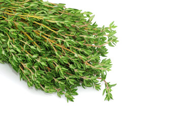 thyme