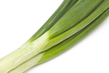 spring onion close-up