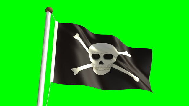 Skull flag (with green screen)