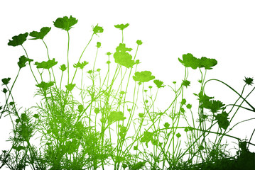 Multicolor foliage background..