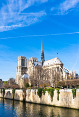 Cathedral in paris