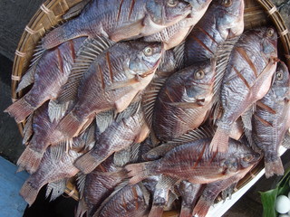 Tray of fresh fish at Thai market