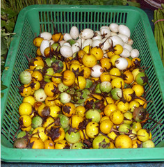 Yellow and white eggplant at Thai market