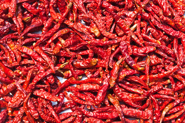 Fototapeta premium Dried chili background texture