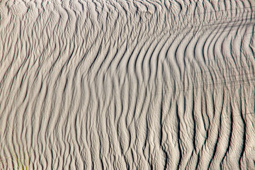 A rippled sand dune