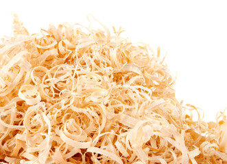 Wood shavings on white background with copy space
