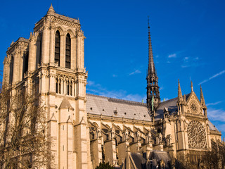 Fototapeta na wymiar Katedra w Paryżu