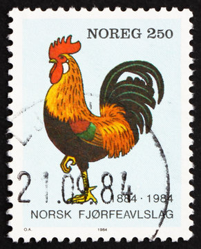 Postage stamp Norway 1984 Rooster