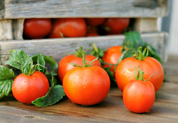 Tomatoes and a box.