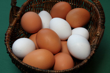frische Bio-Eier im Korb