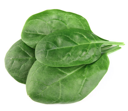 Leaves of spinach