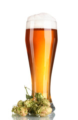 beer in a glass and green hop isolated on white