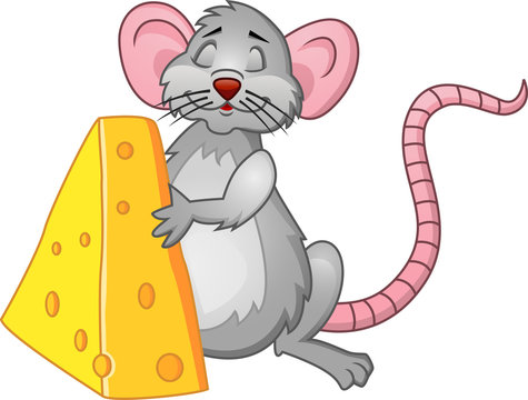 Funy Rat With Cheese