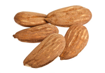 Almonds isolated on white