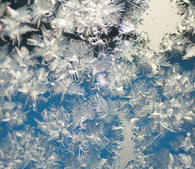 Frozen window