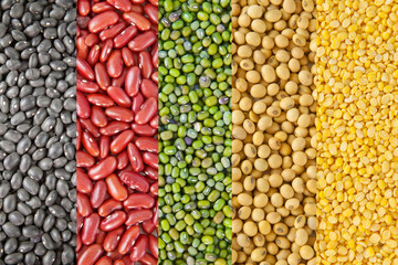 Beans collection