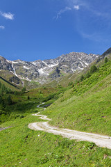 Fototapeta na wymiar Wanderweg w górach Tyrolu