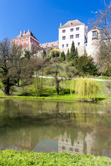 Fototapeta na wymiar Opocno Palace, Czech Republic