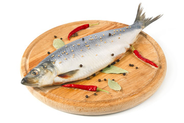 herring on wooden hardboard with spice isolated white background