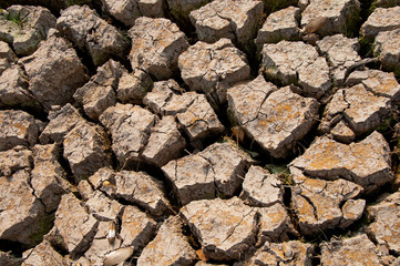 cracked ground