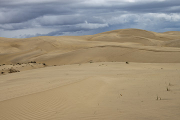 Fototapeta na wymiar Sandy Thar desert in Rajasthan, India