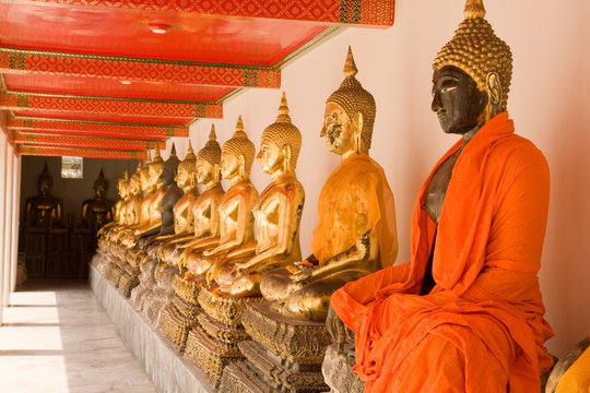 The row of golden buddha at wat pho thailand