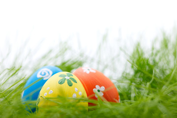 Easter eggs in grass
