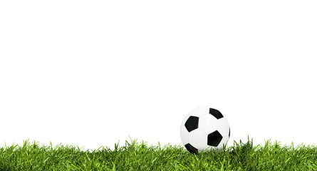 Ball on grass isolated