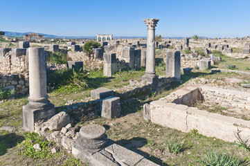 Venus Entourage house at Volubilis, Morocco