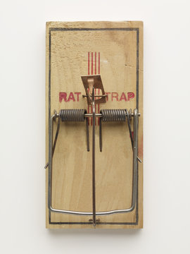 Mouse trap