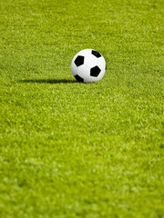 Fototapeta na wymiar Classic soccer Ball on green grass