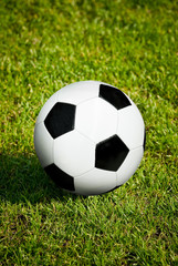Fototapeta premium Soccer Ball on green grass