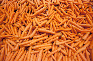 Pile of carrots forming background