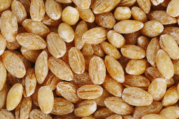 Pearl barley grains