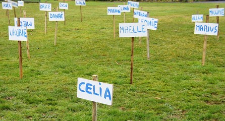 Celia, Maëlle et les autres