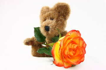 Small Teddy Bear With Large Colorful Rose