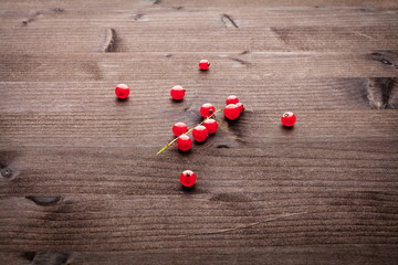 Naklejka na ściany i meble red cranberry