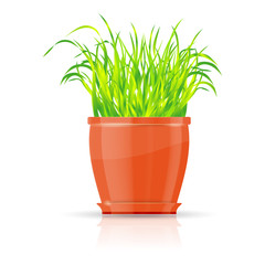 Orange flowerpot with green grass. Vector file.