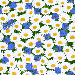 Seamless camomiles and cornflower pattern