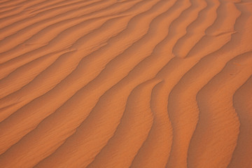 Fototapeta na wymiar Desert Sand Dune Lines