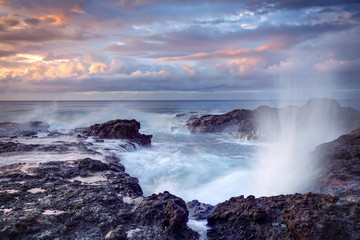 Souffleur au crépuscule - Ile de La Réunion