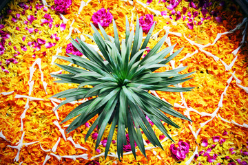 offrande fleurs inde