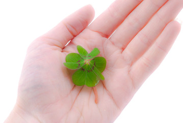 Glück in der Hand