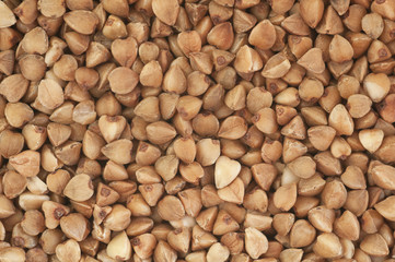 Buckwheat background