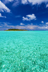 Tropical Island with Coconut Palm-trees