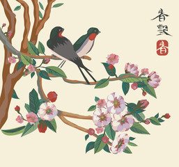 spring . japan .  birds . sakura .