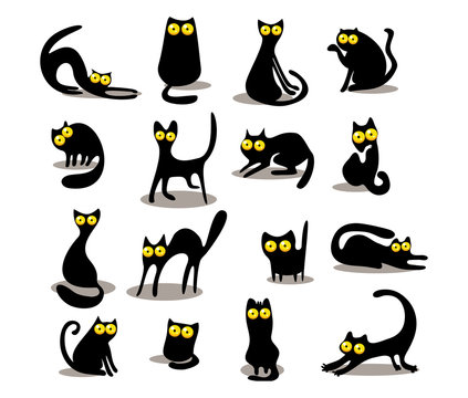 Black cat silhouettes