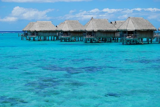 bungalow - french polynesia