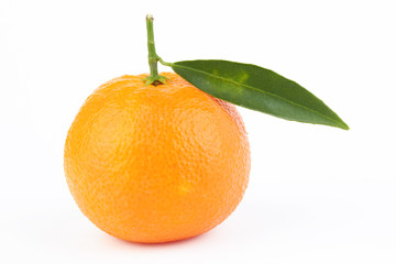 Mandarins
